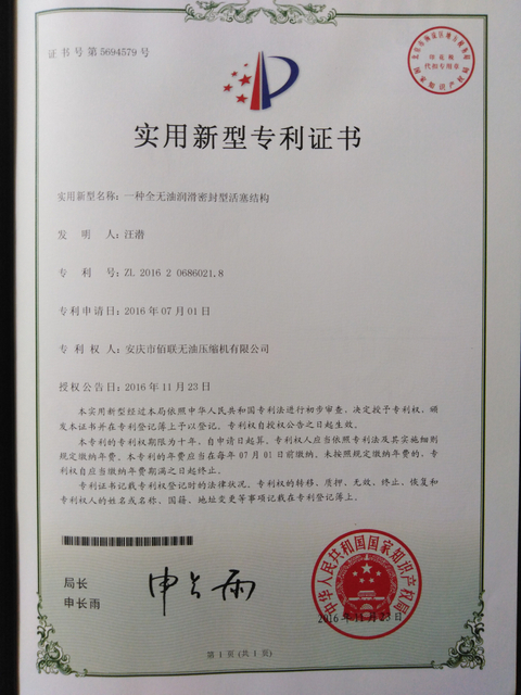 一种 全无 油 润滑 密封 型 活塞 结构 (1)