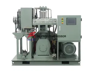 فهم دور ضواغط النيتروجين في التطبيقات الصناعية